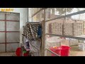 Giao Lưu với Tuấn Phú Thọ - Cửa hàng gần 100 loài Chim Cảnh và Số lượng rất lớn || Đạt Bird TV