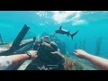 Stranded Deep - What Re-spawns and what does not