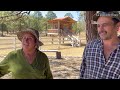 Cabañas los fortines les presento el bisonte americano en Zacatecas