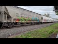 SOUTHERN PACIFIC BLOODY NOSE IN NEW YORK STATE 4K