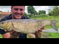 Chub fishing on the river waveny on all round anglers cheese paste
