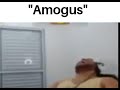 When amogus.