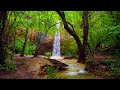 4k Forest Water Stream Nature Sound  Relaxing Stream Sounds Sleep Meditate Yoga 10 hours