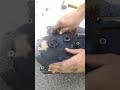 Briggs and Stratton assembly how-to