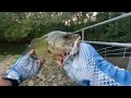 Tiny creek - Big bass