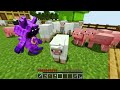 ONE HUMAN on a CATNAP ONLY One BLOCK in Minecraft!