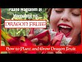 How To Layout Dragon Fruit Trellises (Space and Clearance Considerations)