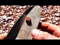 Gold Prospecting in One of Australia's Most Remote Area!