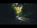Jungle Water Sounds - Nature Sounds - Waterfall- Relaxing Meditation.