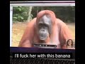 monky video call