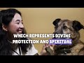 SHOCKING : What Nostradamus Predicted For Those Who Have A DOG At Home | Prophecies Revealed 2024