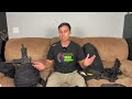 Basics Of A Bag:Backpack Gun