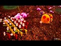 20 Minutes of Pikmin 4 Gameplay