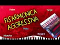 Fisarmonica aggressiva | Mix Fisarmonica Italiana | Liscio Folk 2024 | Fox, Polka, Tango