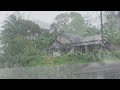 Soft rain, strong wind storm and loud thunder in the village I rain sounds for sleeping