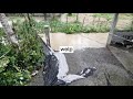 Flood Vlog | Typhoon Odette  | 11.03.2021