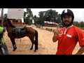 Belajar Naik Kuda | Bisa Berkuda dalam 1 jam | dan Belajar cara Memeliharanya