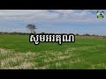 ឧបករណ៍ព្រោះជី