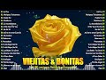 The Best Unforgettable Romantic Hits 🌹 1 Hour of Romantic Music Old But Beautiful 80s 90s