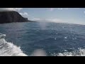 Maui Dive Video