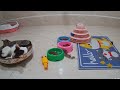 CLASSIC Dog and Cat Videos 😻🤣🐤 1 HOURS of FUNNY Clips 🐱 Cute baby animals