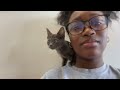 Adopting a KITTEN! (from START to FINISH) | vlog