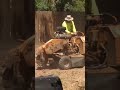 2016 July 23 Stump Grinding