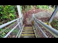 ASMR Walk - Alexandra Forest Walk to Henderson Waves #singapore #walkingtour #asmr #greenery #forest