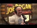 Joe Rogan Experience #2182 - Michael Malice