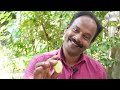 കൊതിയൂറും തനി നാടൻ ലിവർ ഫ്രൈ 😋 | Kerala Style Liver Fry | Village Spices