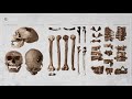 The Neandertals That Taught Us About Humanity