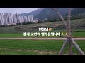 보고싶은여인  원곡:현철🙏cover 즐샘 # 삼가 고인의 명복을빕니다🙏