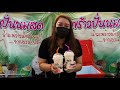 Coconut Fresh Milk Smoothie | Coconut Milk Drink | Street Drink | Thai Street Food