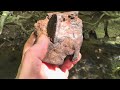 Iron Mammoth Effigy?!? Unexplained Archaeological Finds. 🦣