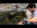 Yuba River Gold Prospecting - Part 1 Northern California Gold Rush