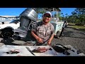 SOUTHERN FLOUNDER [Catch, Clean, Cook] ** Delicious and Easy **