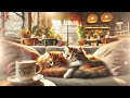 Healing Piano Jazz Work BGM Cafe Healing Relaxing Bossanova chill【Relaxing Cat Chord】