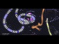 Slither.io Mobile Full-Throttle 32k point run