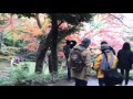 Autumn in Koishikawa Korakuen 小石川後楽園の秋2016年  (part 1)