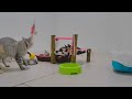 😹 Funniest Cats 😂😅 Funny Animal Moments 2024 😆😂