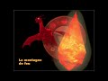Forestia OST: The Fire Mountain / La Montagne de Feu