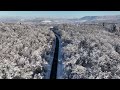 Dji Mavic 3 4k footage #183