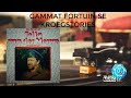 Tolla van der Merwe - Gammat fortuin se kroegstories