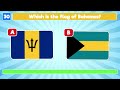 What Is the Correct Flag? | Flag Quiz 🇺🇸 🇧🇷 🇮🇳