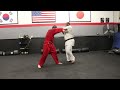 Aikijujutsu Demystified: Mastering the Art in Minutes - Tora no Tsume Aikijujutsu Techniques 1-12.