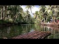 Inner Peace -Relaxation & Sleeping -Jungle And Water Sounds #12