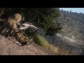 Arma 3 - Official Beta Trailer