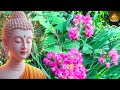 Sống Có Đức Sẽ Vượt Tất Cả Nghiệp Chướng (nên nghe) - Thiện Duyên Phật Pháp