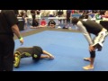 Bjj Florida open final