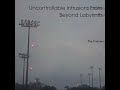 The Trainers - Uncontrollable Intrusions From Beyond Labyrinth - PART II